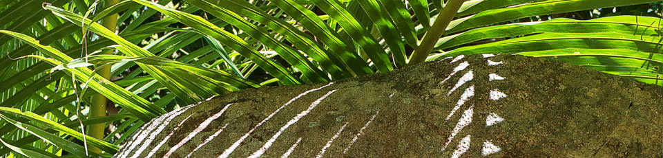 LA PASSE GUESTHOUSE LA DIGUE - La Digue