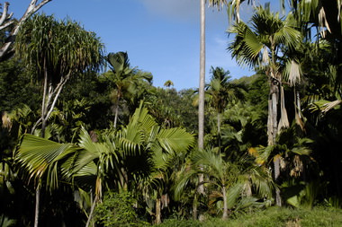 MERIDIEN BARBARONS MAHE - Mahé
